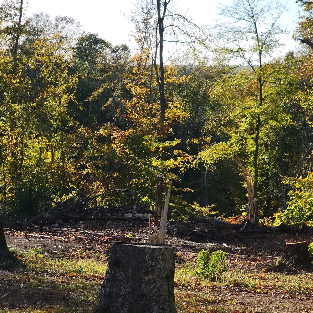 Meet your Posher, Mari